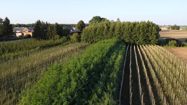 Kwatera produkcyjna sąsiadująca z polami