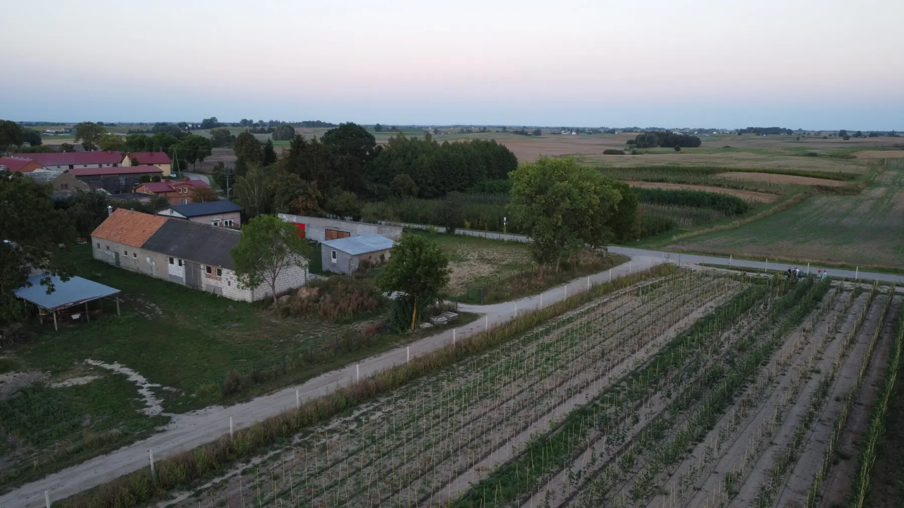 Rzędy roślin i ścieżka między kwaterami